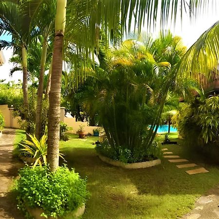 Alona42 Resort Panglao Eksteriør billede